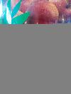 IMG_20140920_171429