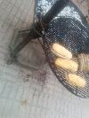IMG_20140921_100709