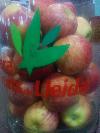 IMG_20140921_110046